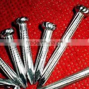 oval head Galvanized Concrete Nails