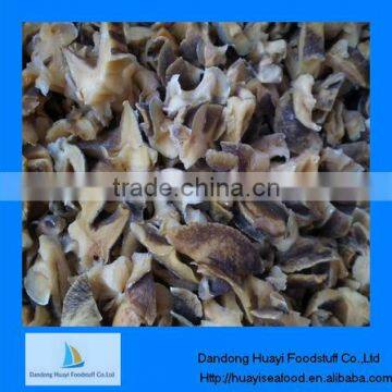 fresh frozen moon snail meat with best price