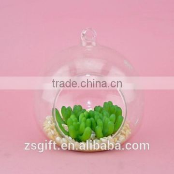 The glass ball miniature plant landscape creative table decoration