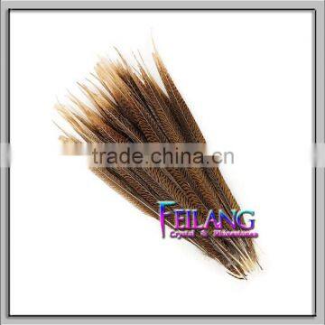 16-18inches Ring Neck pheasant feathers