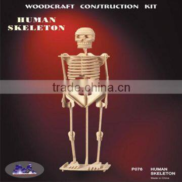 Wooden Human Skeleton Toys Conform To ISO:9001 Certification