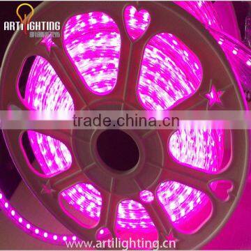 2016 color changing rgb SMD5050 220V led light strip with CE RoHS