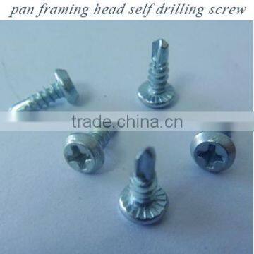 galvanized pan framing head phillips recess BSD thread self-drilling screw from golden supplier in China