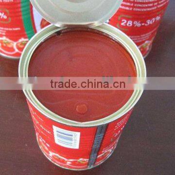 Chinese Manufacture Canned Tomato Paste