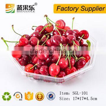 Promotional Transparent Plastic Pet Tray photo-4