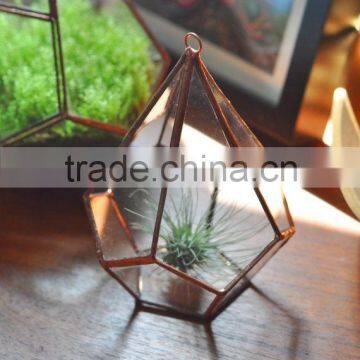 home decoration flower terrarium vase for wedding favor centerpiece >< hanging large geometric glass reptile