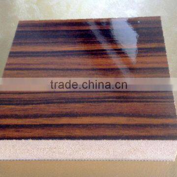 uv High Gloss Door Panel in Wood Grain photo-5