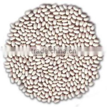 White kidney beans (Japanese type)