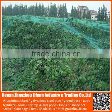 Offer 100% new hdpe netting fabric , anti bird nets for catching birds