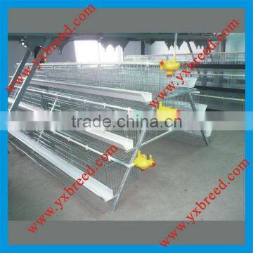 Leading Chinese Poultry Farming Equipment manufacturer