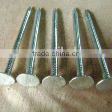 Galvanized Clout Nails with Flat Head