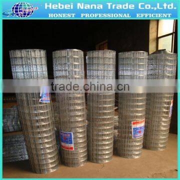 Factory cheap stainless steel welded wire mesh / PVC welded wire mesh / 304 welded