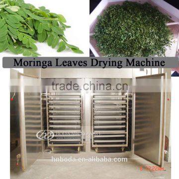 stainless steel moringa leaf drying machine