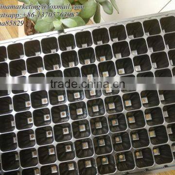 128 Cell Black PS Plastic Horticulture Plant Nursery Seed Starting Tray Manufactory Price photo-2