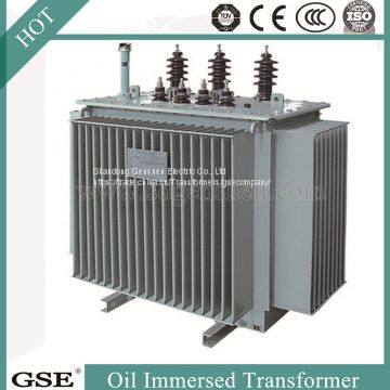 Power Transformer/Oil Immersed Power Distribution Transformer/800kVA Transformer photo-4
