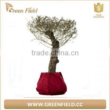 2017 Eco-friendly Gardening Planter Bag Grow Bag photo-4