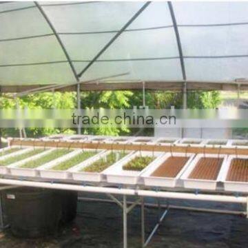 Seedling Bed Sponge for Plants&Foam Tray photo-2