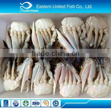 chinese sea frozen frozen crab export supplier