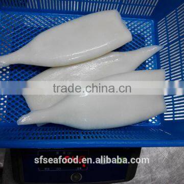 Good Quanlity and Best Price Frozen Squid Tube photo-3