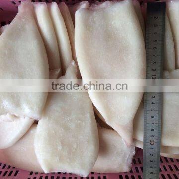 Frozen Squid Tubes With Different Size in Sale photo-5
