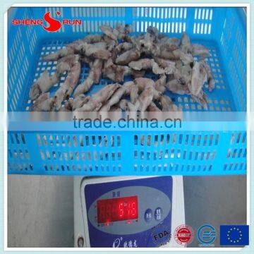 IQF Frozen Baby Loligo Squid photo-5