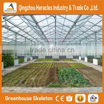 Factory Price Trade Assurance Greenhouse Equipment- Plastic Sheet Agricultural Greenhouse From China Supplier photo-3