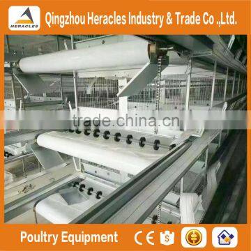 Hercles High Quality Poultry Equipment Automatic Chicken Layer Cage/egg Laying Cages for Sale in Philippines photo-6