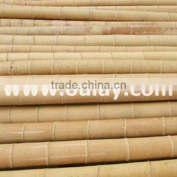 Moso bamboo poles cheap