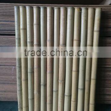 natural bamboo fence