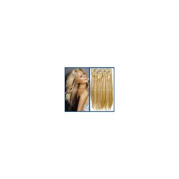 clip in hair extensions  human hair extensions  brazilian hair