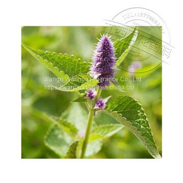 8014-09-3 High Quality Patchouli Oil Wholesale