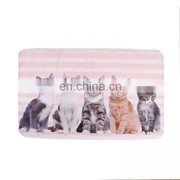 High Quality Cute Pattern Durable Anti Slip Regular Shape Household Rectangle Pet Mat