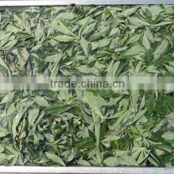 Saka Saka Flour /Frozen Cassava Starch/ Cassava Leaves