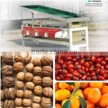 fruit sorting machine for sale