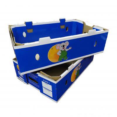 OEM Recyclable Coated Paper 1kg Orange Fruit Box for Export Shipping