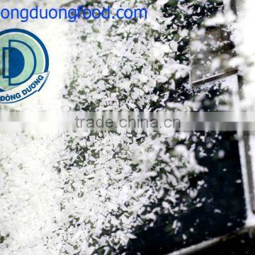 DESICCATED COCONUT POWDER