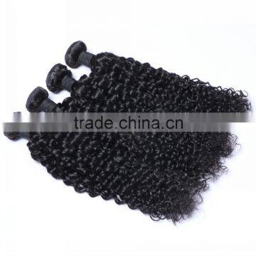 Fashion Afro Kinky Curly Indian Remy Hair Curly Weave Extension China Suppliers That Accept Paypal