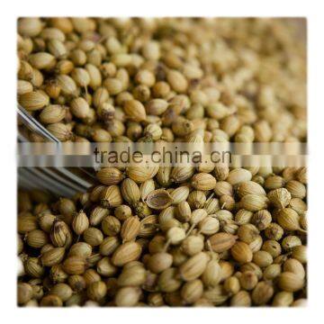 100% Natural Dehydrated Wholesale Chinese Coriander Seed photo-2