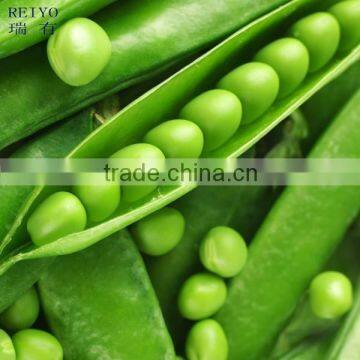 bulk frozen green pea