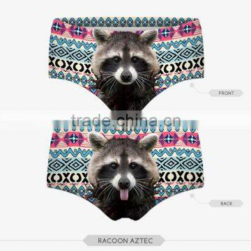 Wet Ladie Hot Sexy Panties Pug Dog Cut Cat Sexy Girls Tight Lingerie Stretchy Underpanties 3d Digital Full Print Custom Hot Sale photo-6