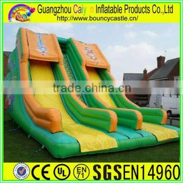 2 Lane Inflatable Plastic Dry Slide For Amusement photo-3