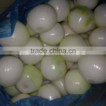 2014 New Crop Fresh Onion Peeled Onion