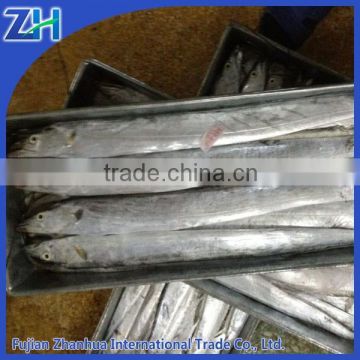 High Quality Seafood Whole Frozen Ribbon Fish