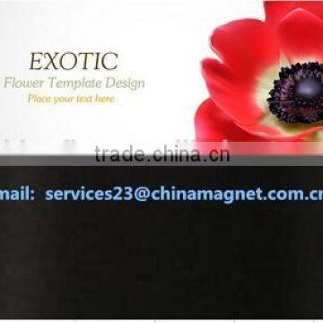 2015 Promotion Magnetic Business Card Wholesale photo-3