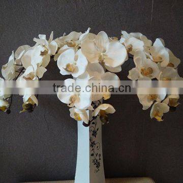 White silk orchids wholesale phalaenopsis orchid