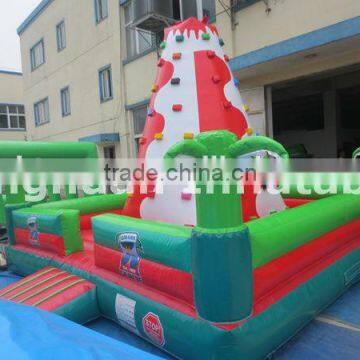 inflatable climbing wall for kids