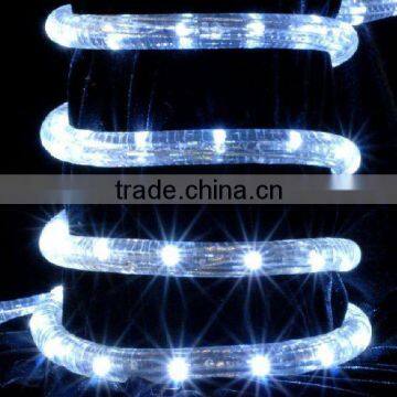 white flex led tube light