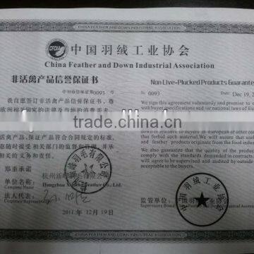 White Goose Down Comforter photo-2