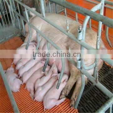 pig farming equipment ,pig breeding cage , farrowing cage ,pig cage