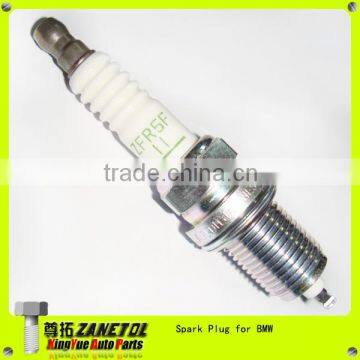 ZFR5F 12129069877 12129068016 12129065062 12129063428 12129061870 Auto Spark Plug for BMW 750IL 850CI 850I Mazda 626